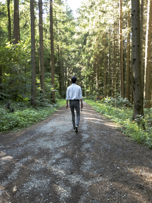 Wald in der nähe von Rosenberg