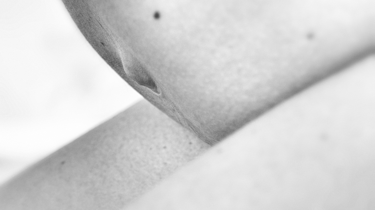 Waiting for Federica