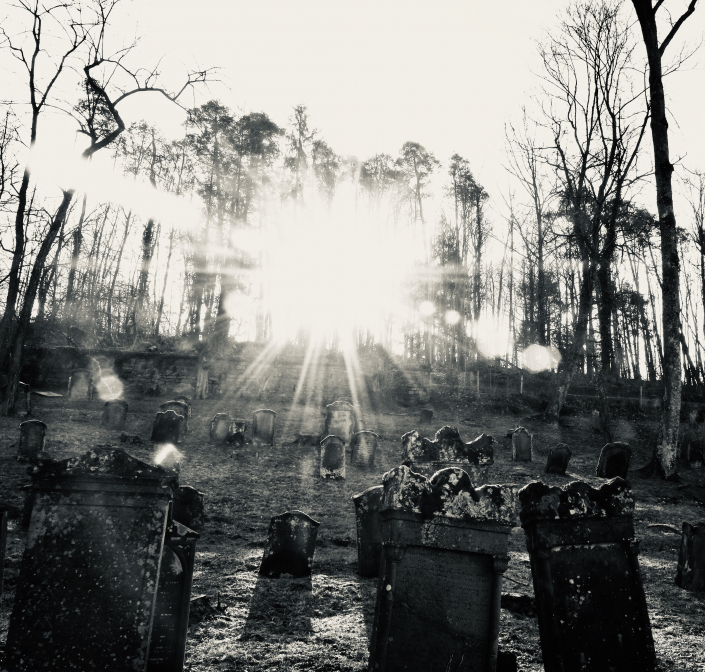 Friedhof im Gegenlicht