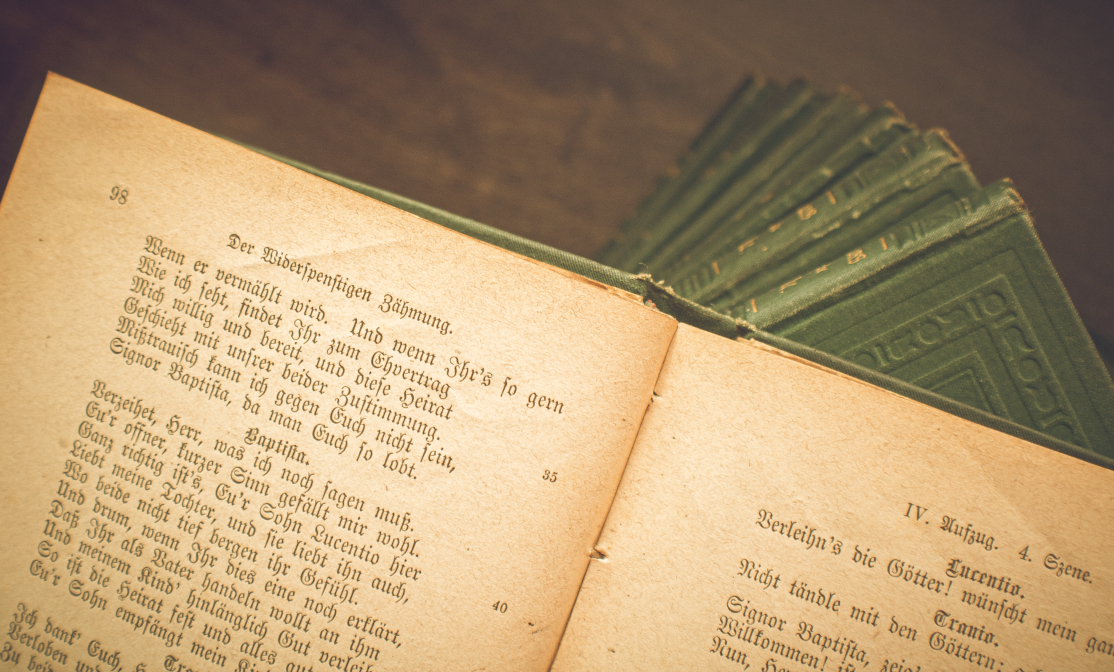 Der widerspenstigen Zähmung