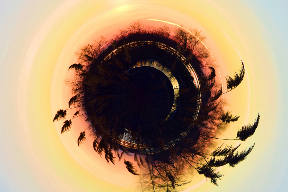 Oeil de petite planète