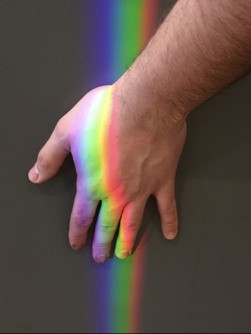 Bring Farbe in dein Leben