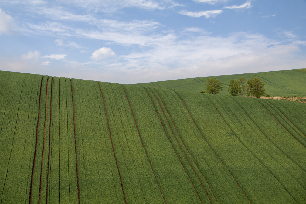 Jihomoravská krajina