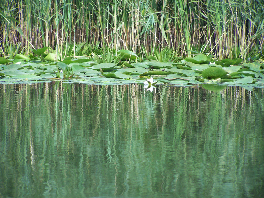 Natura si culorile ei