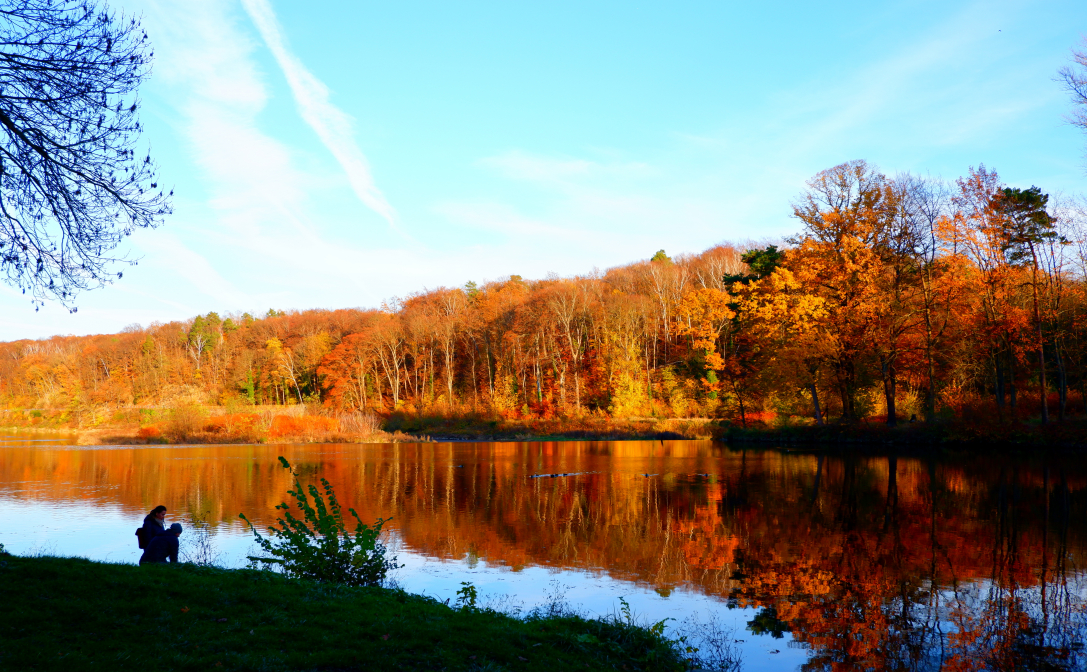 Spaziergang entlang der Mulde