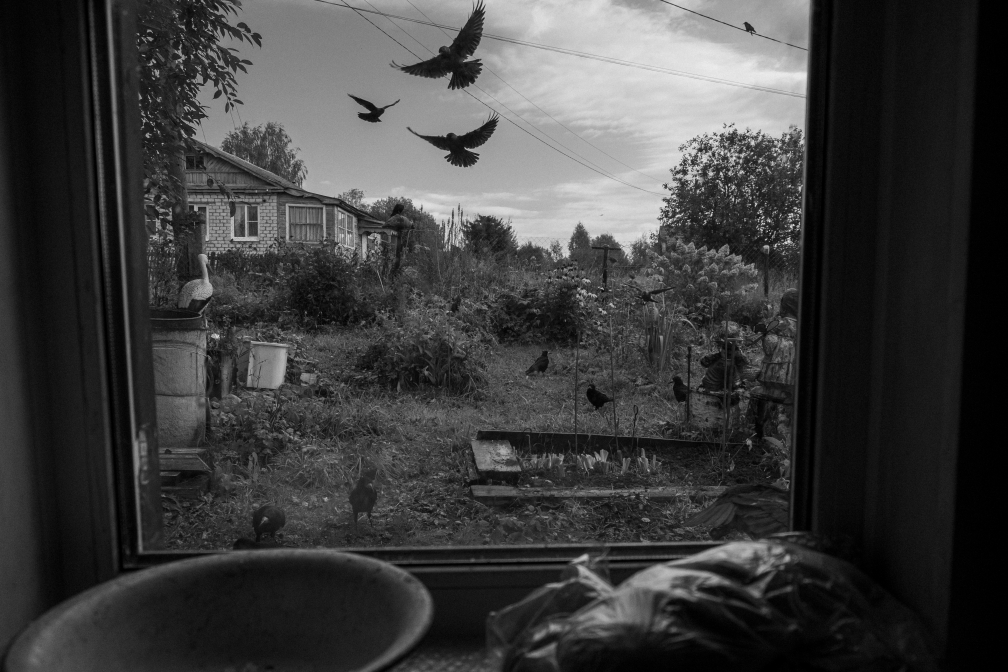 Breakfast with Crows