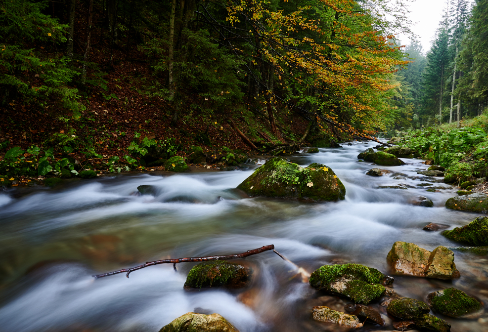 Jesienny górski potok.