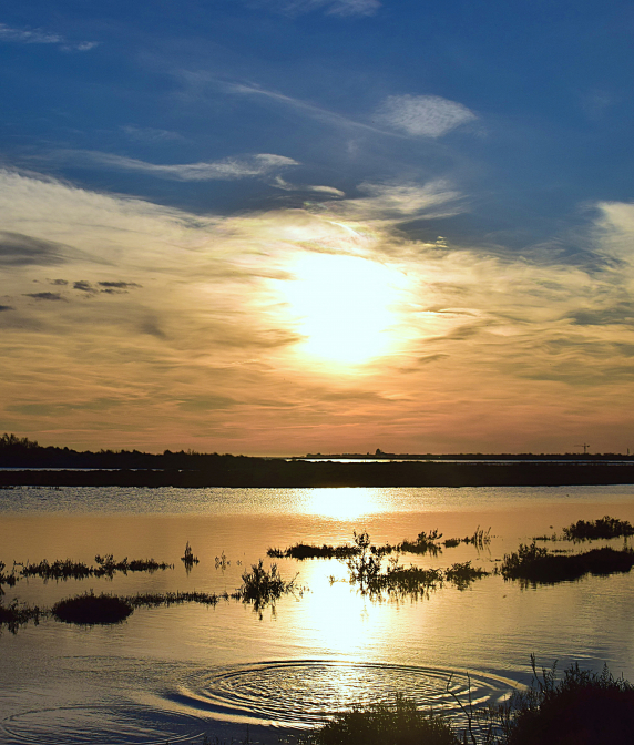 Point d'eau au couché de soleil