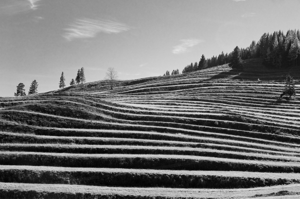 Kaskádové políčka