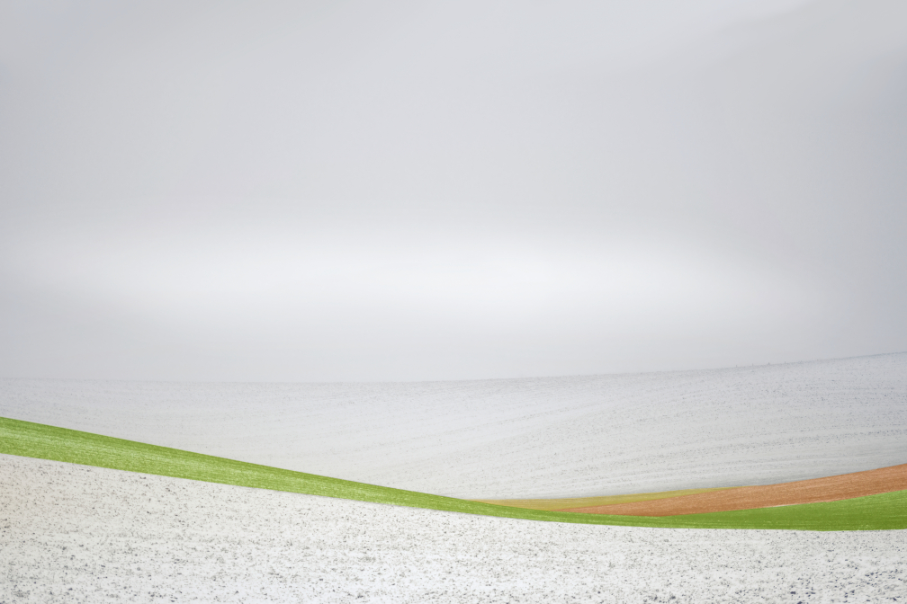 Stuha v krajině jižní Moravy