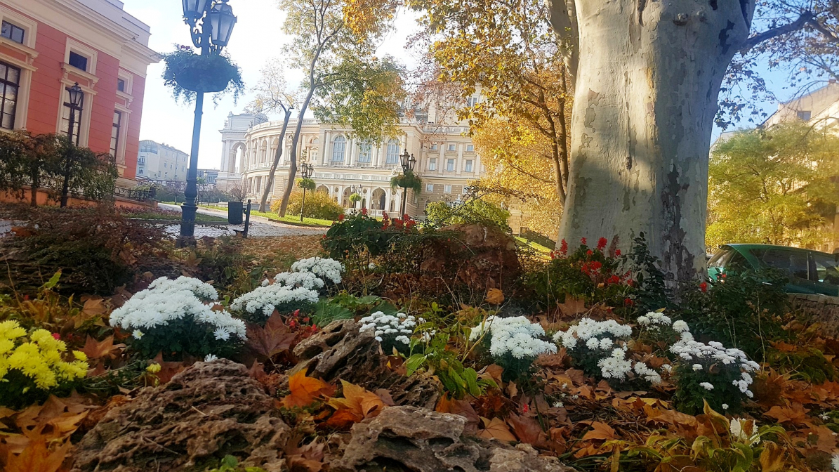 Magic silence of autumn