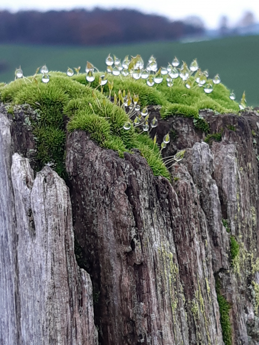 Kleine Welt so groß