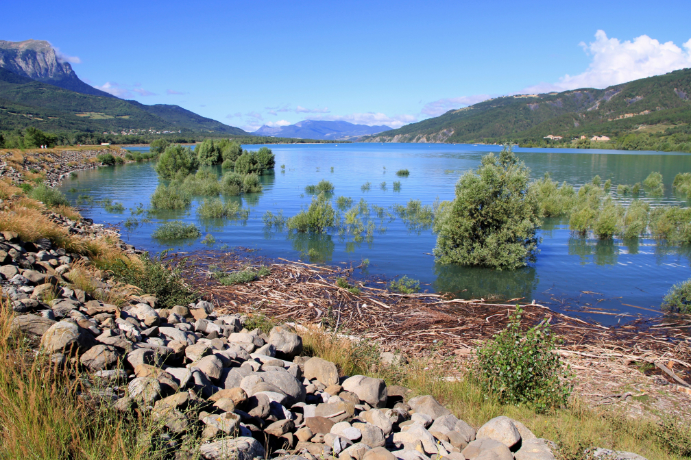 Arbres noyés au Lac
