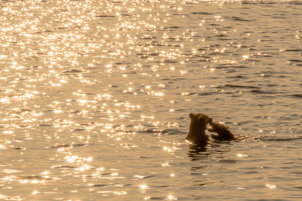 Abendliche Badefreuden
