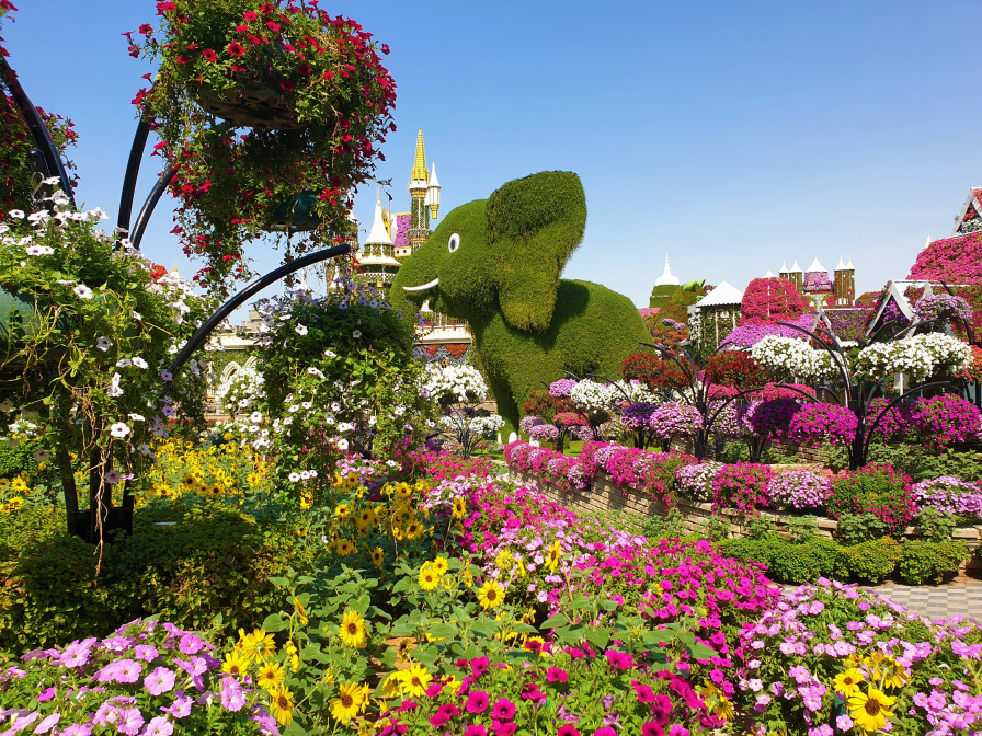 Miracle Garden