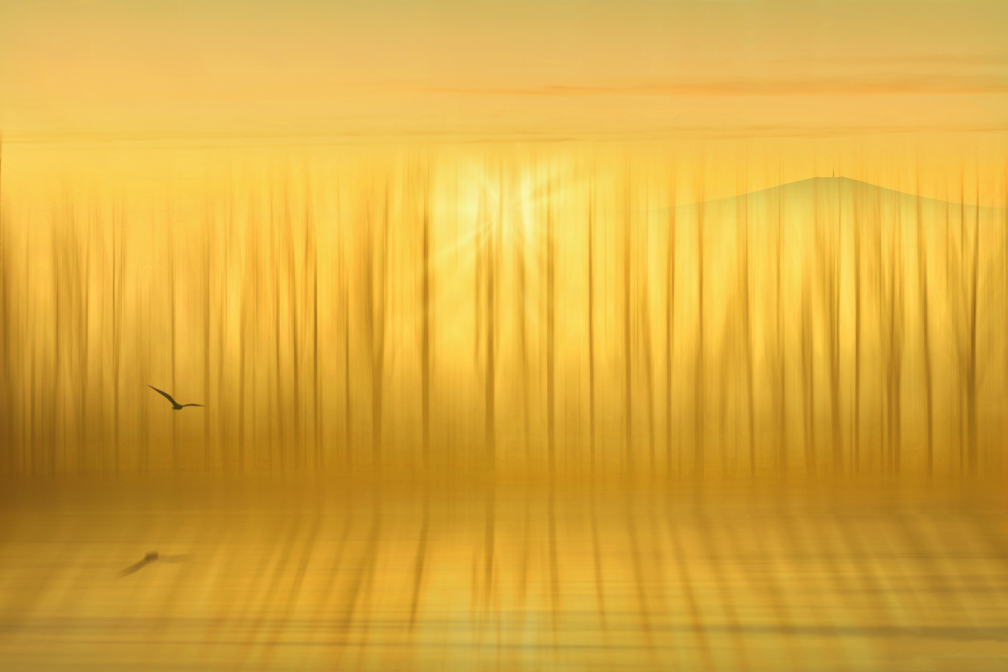 Sluncem zalitá krajina