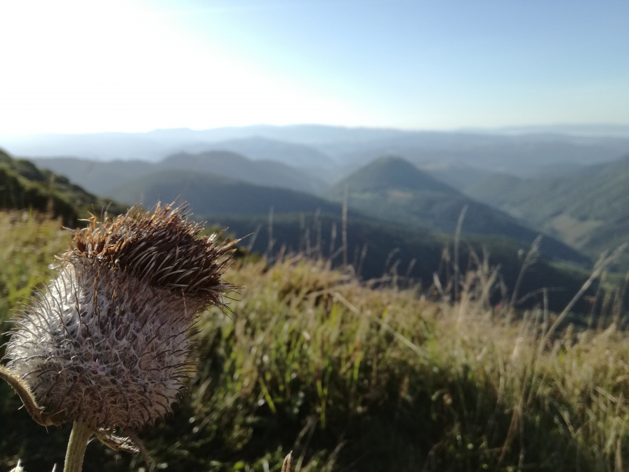 Len sa ku mne posaď a pozeraj