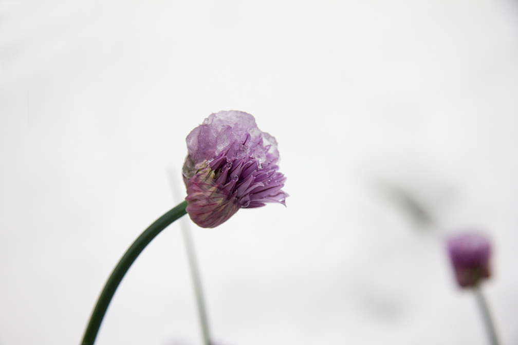 The Art Of Simplicity