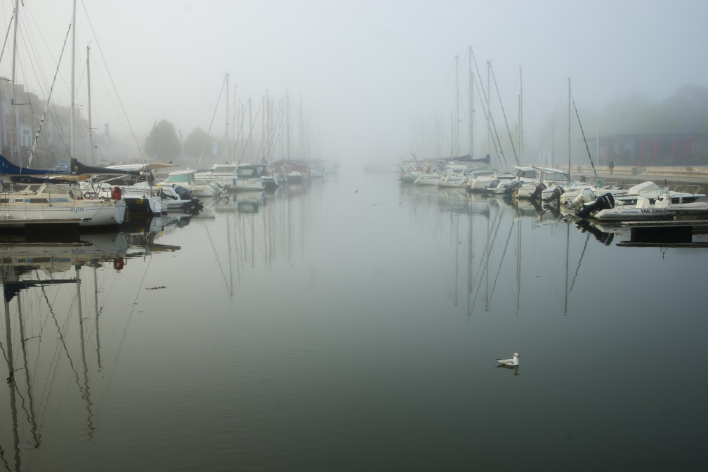 Marina in Vannes
