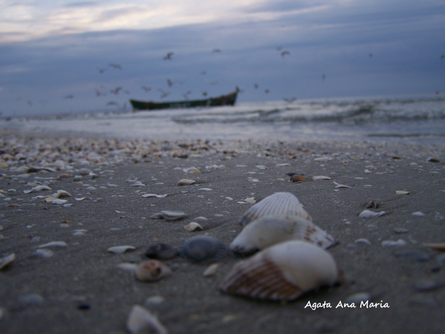 Scoici, Nisip si marea neagra