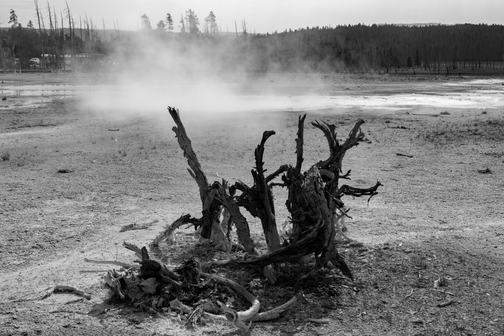 Leben und Tod sind einander sehr nah