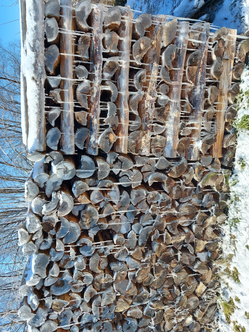 Eisschmelze im Waldviertel