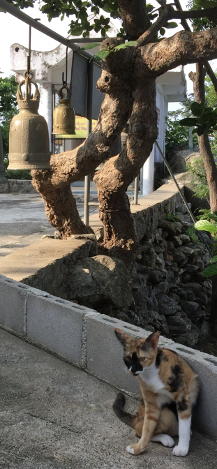 Warten auf die Erleuchtung