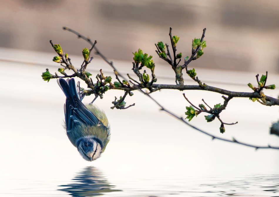 When you don't want to get your feet wet