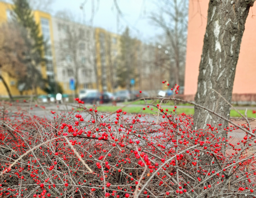 A természet alkotta színek csodája