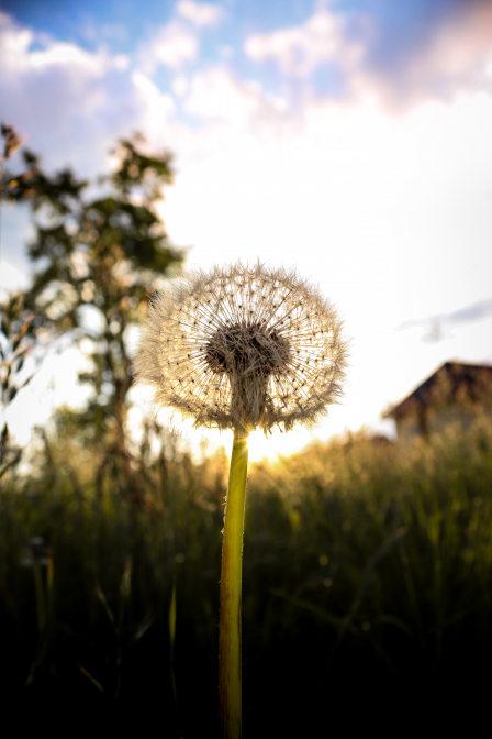 It‘s the little things of life