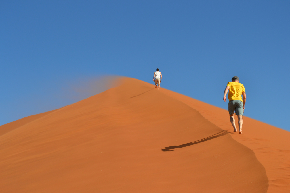 Namibia Dune45