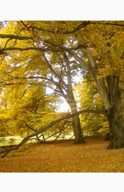Herbstliches Erwachen