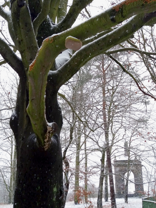 Na Šibeničním vrchu