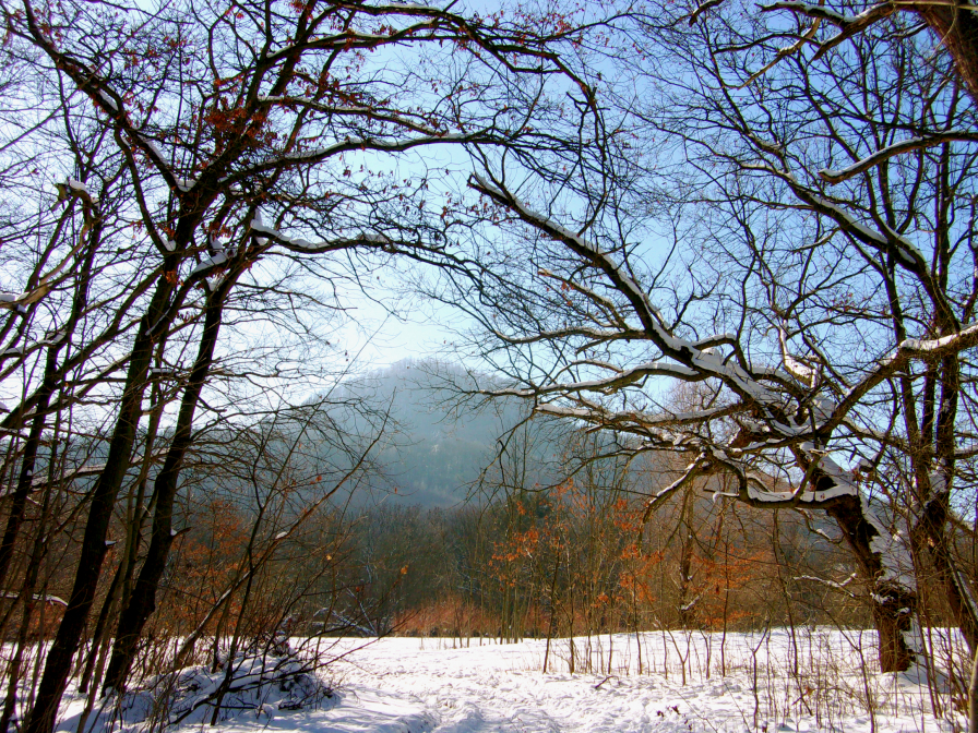 Výhled na Popovický vrch